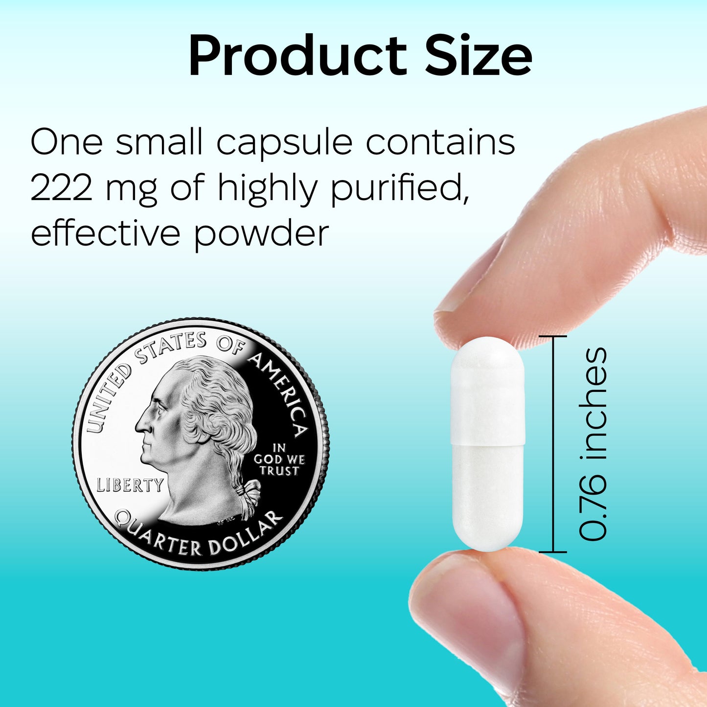 Fenbendazole Capsules – 222 mg, 90 pcs
